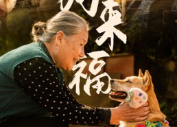 短剧《小狗来福（30集）》爆款短剧免费高清看