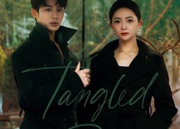 短剧《港城不眠（87集）》短剧完整版免费观看