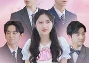 短剧《韩少别哭，夫人她有三个大佬哥哥（83集）》精彩短剧在线免费追