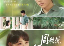 短剧《周教授我们结婚吧（82集）》短剧免费观看完整剧情