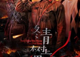 短剧《冬青树上果犹红（9集）》短剧无删减全集速看