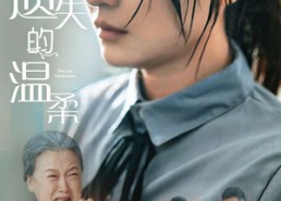 短剧《新遗失的温柔（77集）》短剧完整高清免费享