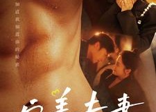 短剧《完美夫妻（103集）》短剧高清全集免费享看