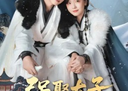 短剧《强娶太子做夫君（67集）》短剧热播全集免费播