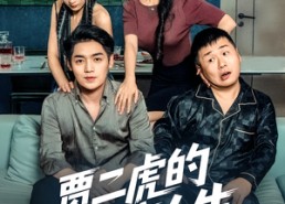 短剧《贾二虎的硬核人生（80集）》超长短剧免费全集播