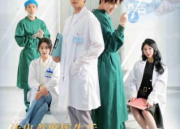 短剧《让出首席医生后，妻子万劫不复（30集）》短剧在线全集畅快观