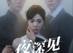 短剧《夜深见月明（50集）》短剧高清免费在线畅观