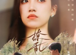 短剧《撩乱（65集）》免费短剧全集流畅观看