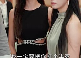 短剧《如鱼得水（74集）》热门短剧在线畅享观看