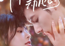 短剧《佛子你动凡心了（70集）》短剧热门免费高清看