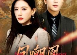 短剧《凤嘲凰（83集）》热门短剧在线高清看