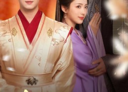 短剧《烽烟误良缘（80集）》免费短剧全集畅快看