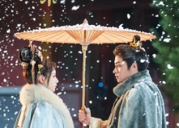 短剧《人生若只如初见（30集）》高清短剧免费全集在线赏