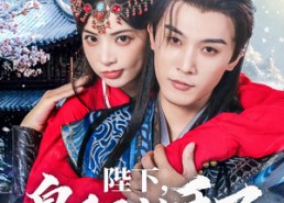 短剧《陛下皇后又动手了（66集）》精彩短剧免费全集播放