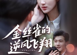 短剧《金丝雀的逆风飞翔（80集）》短剧全集高清免费观看