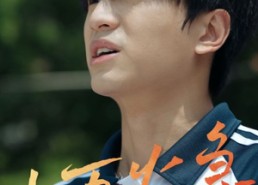 短剧《十万火急（30集）》短剧免费全集一键观看