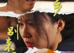 短剧《故乡别来无恙（55集）》免费短剧全集无删减看