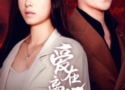 短剧《爱在离婚进行时（61集）》短剧在线畅享高清版