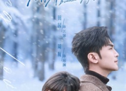 短剧《以爱为界，隔岸观你（82集）》短剧全集免费在线追