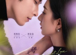 短剧《紫罗兰之恋（82集）》热门短剧完整版在线