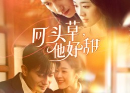 短剧《回头草，他好甜（80集）》短剧全集免费畅享看