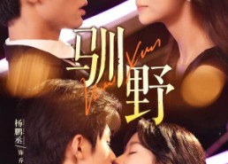 短剧《驯野（77集）》优质短剧全集免费观