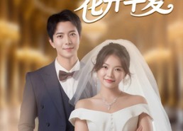 短剧《非她不娶，花开半夏（63集）》短剧完整高清免费观