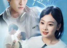 短剧《这一次只为你心动（100集）》高甜短剧全集完整看