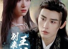 短剧《王爷别来无恙（88集）》精彩短剧无广告在线赏