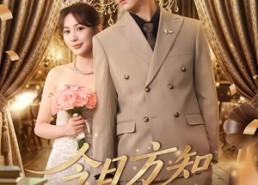 短剧《今日方知你我（100集）》热门短剧免费全集看