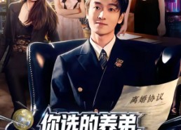 短剧《你选的养弟，我离婚你又后悔什么（80集）》短剧全集免费在线追剧