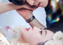 短剧《甘愿与她（80集）》超火短剧全集免费看