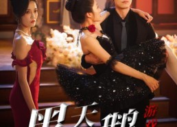 短剧《黑天鹅游戏（60集）》免费短剧全集随心看