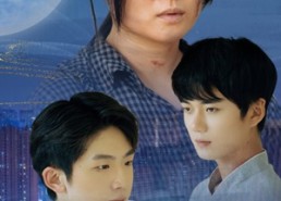 短剧《城里的月光（46集）》免费短剧无删减全集追