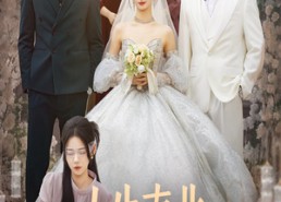 短剧《人生南北多歧路（45集）》经典短剧免费全集畅享