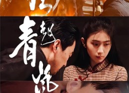 短剧《风起青岚（96集）》免费短剧全集在线品鉴