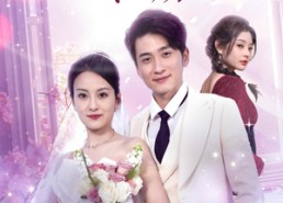 短剧《五年深情终成殇（49集）》短剧热门免费在线赏