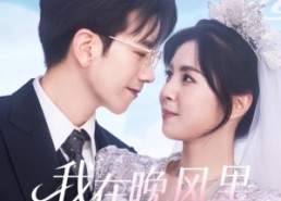 短剧《我在晚风里等你（65集）》超火短剧免费全集速看