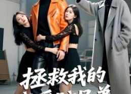 短剧《拯救我的恋爱脑兄弟（82集）》短剧免费全集一键看