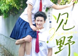 短剧《见野（79集）》短剧免费全集畅快追