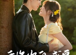 短剧《重逢你的盛夏（66集）》短剧高清免费全集观