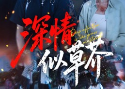 短剧《深情似草芥（51集）》精彩短剧免费在线看