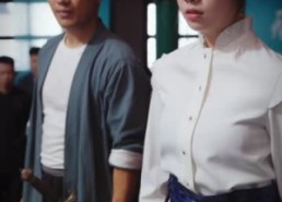 短剧《大夏剑圣（32集）》经典短剧全集免费览