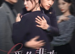 短剧《爱你悲欢一场空（30集）》短剧免费全集高清畅享