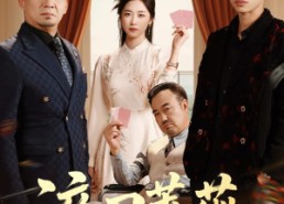 短剧《淬刃蔷薇（66集）》热门短剧无删减免费看