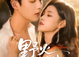 短剧《野火同谋（66集）》短剧免费观看全集资源