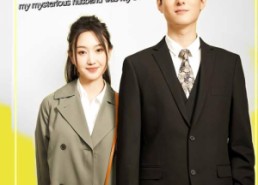 短剧《闪婚后，发现神秘老公是上司（88集）》短剧免费高清全集看