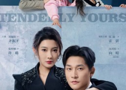 短剧《柔情许你（80集）》短剧全集免费在线观