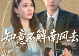 短剧《知意不解南风去（90集）》免费短剧全集高清享