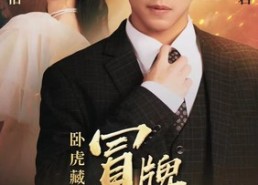 短剧《卧虎藏龙之冒牌神婿（85集）》优质短剧免费全集赏